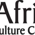 African Culture Connection